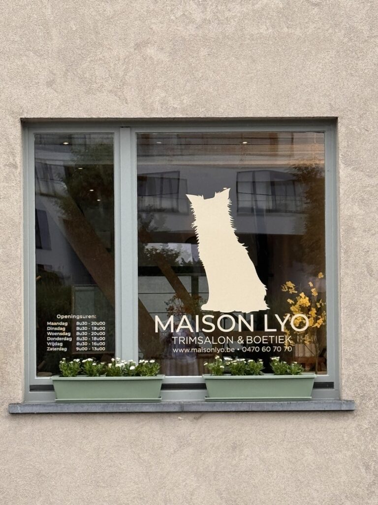 Storefront window with a beige cat silhouette logo for Maison LYO Trimsalon & Boetiek; planter boxes on the sill in front of a beige wall.